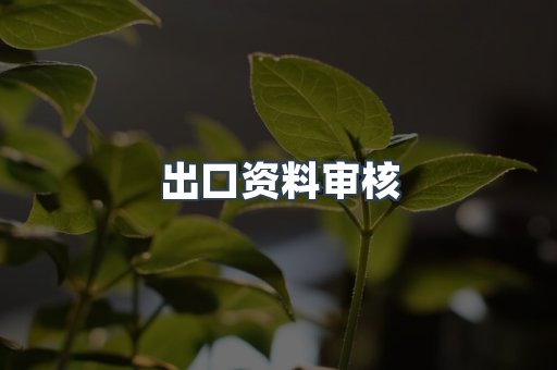 出口资料审核
